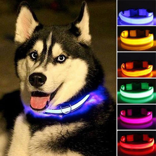 LED Pet Collar - Glow In The Dark